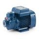 Electrobomba para agua de superficie Pedrollo de 1,5 HP 220V PKM100